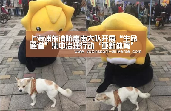 上海浦东消防惠南大队开展“生命通道”集中治理行动‘亚新体育’