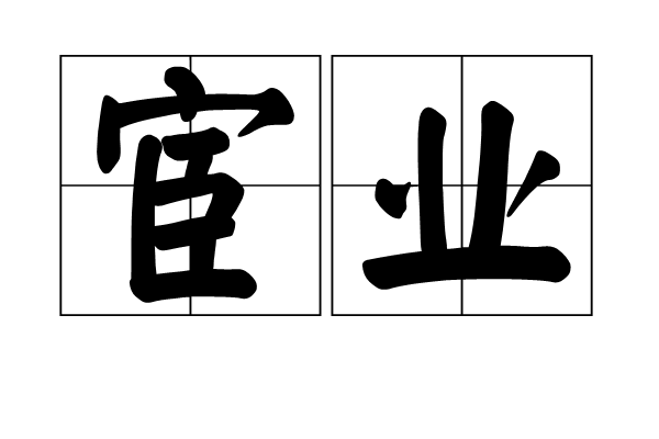 亚新网站