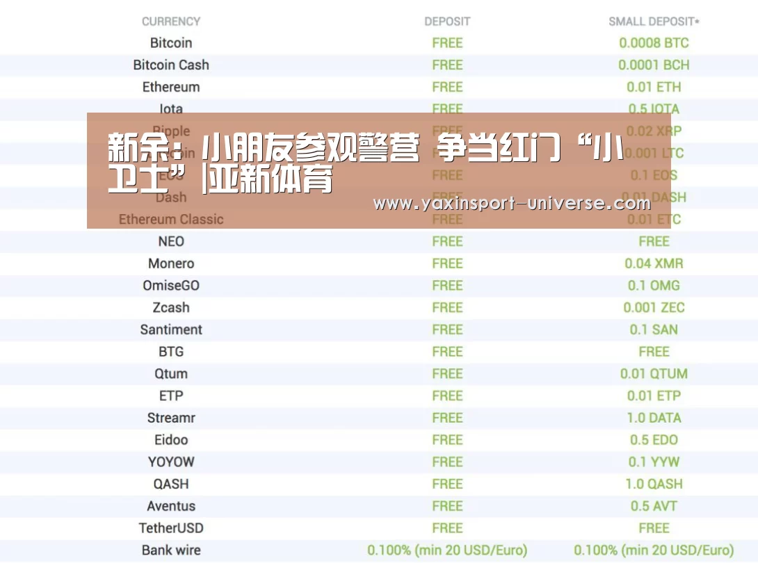 亚新网站