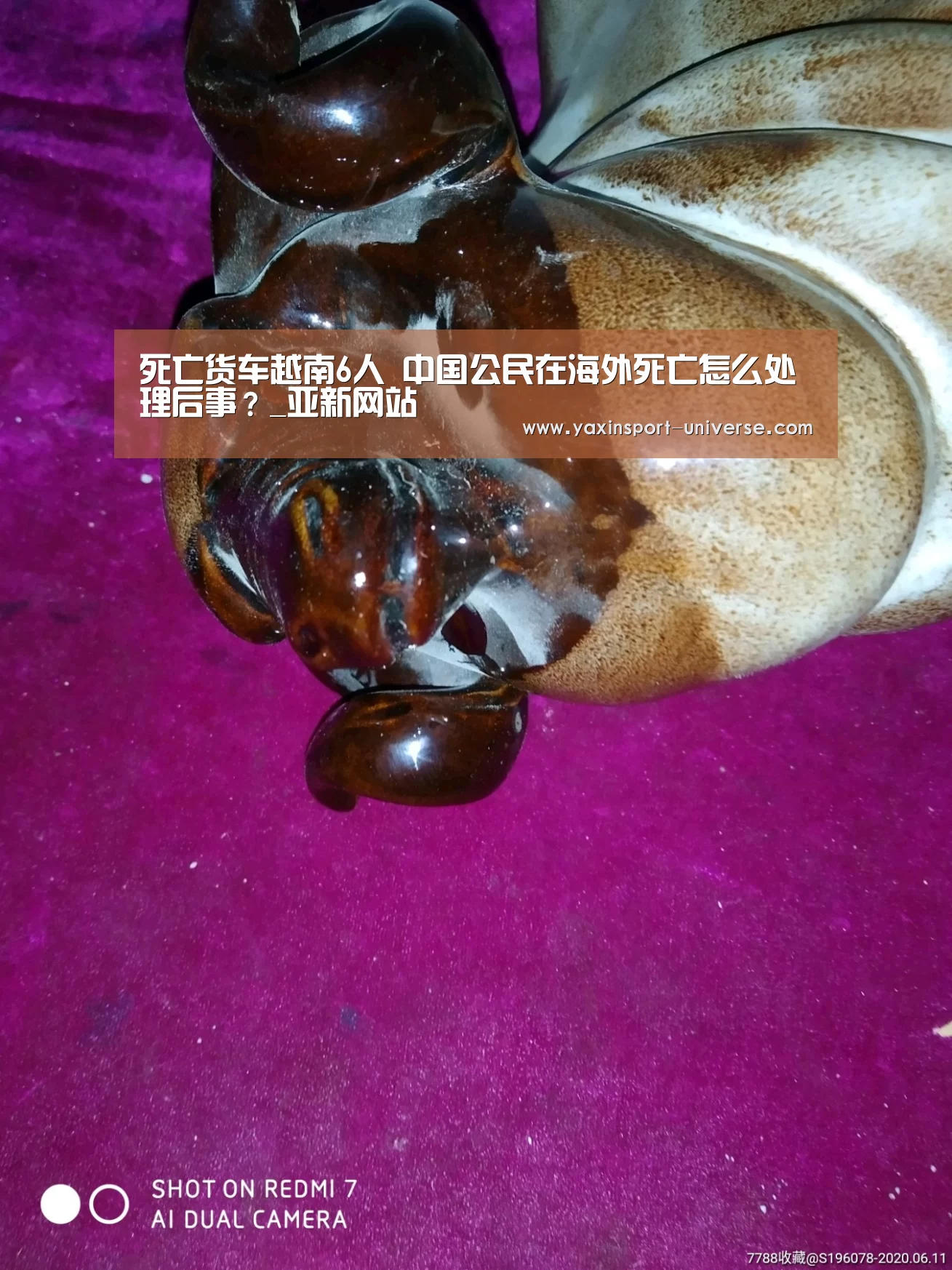 死亡货车越南6人 中国公民在海外死亡怎么处理后事?_亚新网站(图4) 亚新官网