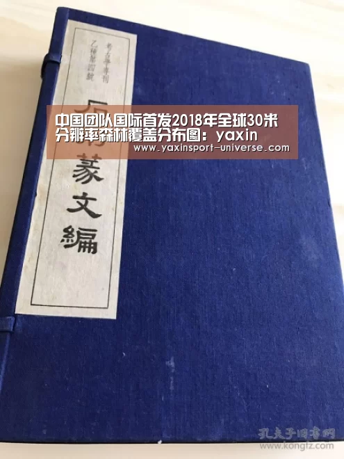 亚新官网